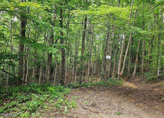 Property at Tbd Rachels Chapel Rd, Coeburn, VA 24230