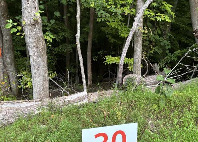 Property at 30 Fox Trott Pl, Unicoi, TN 37692