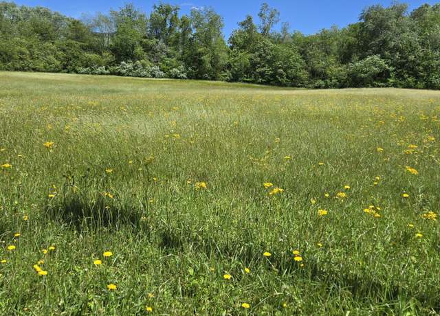 Property at Tbd Unaka View Dr, Erwin, TN 37650