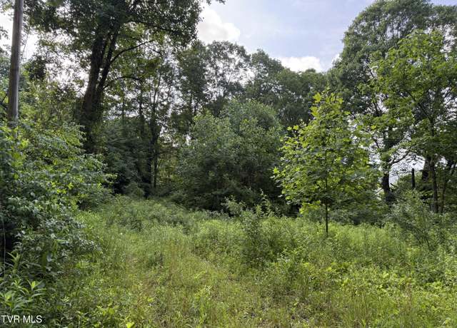 Property at 353 Clarence Potter Rd, Mountain City, TN 37683