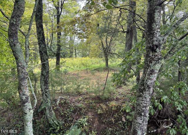 Property at Lot 3 Locust Gap Rd, Mountain City, TN 37683
