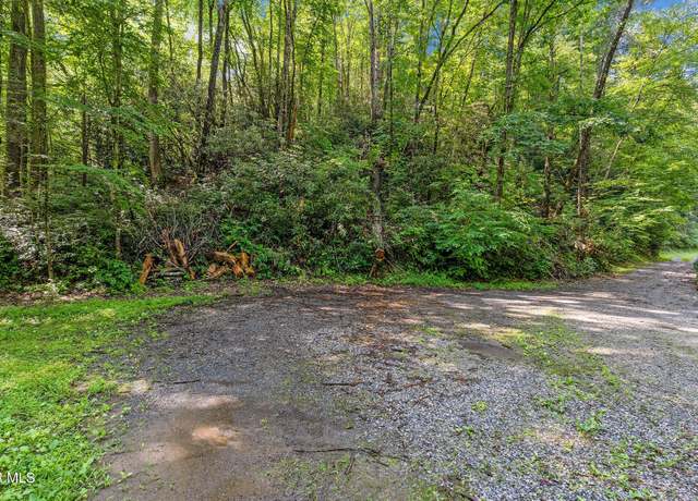 Property at Tbd Omaha Rd, Del Rio, TN 37727
