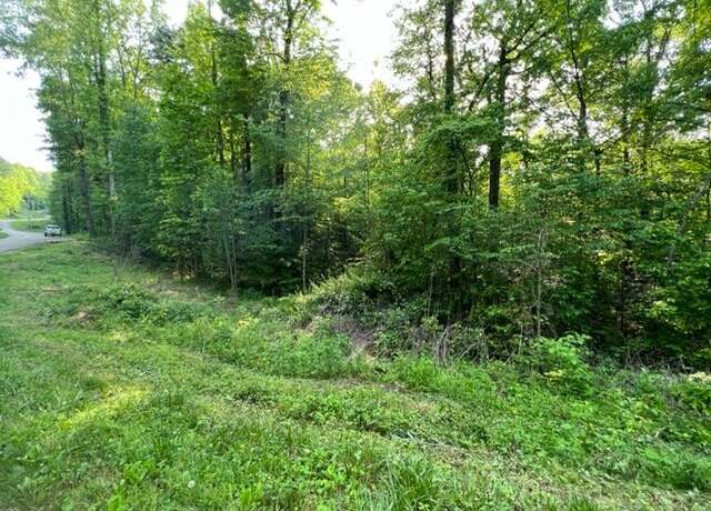 Property at 00 Sink Valley Rd, Butler, TN 37640