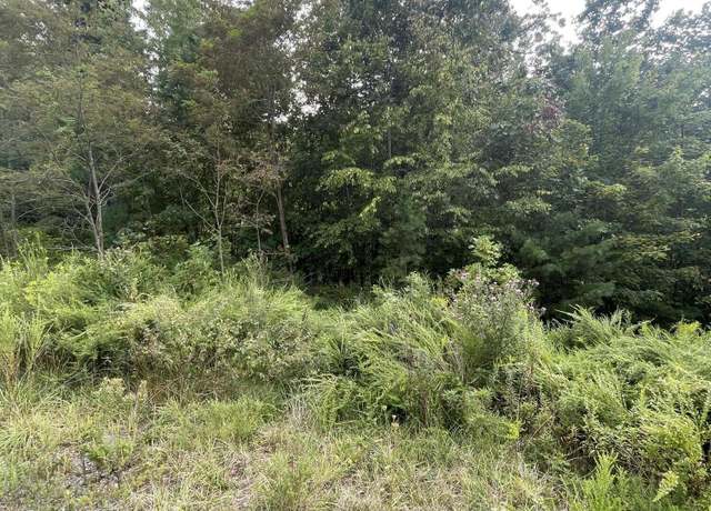 Property at 0 Mary Patton Hwy, Elizabethton, TN 37643