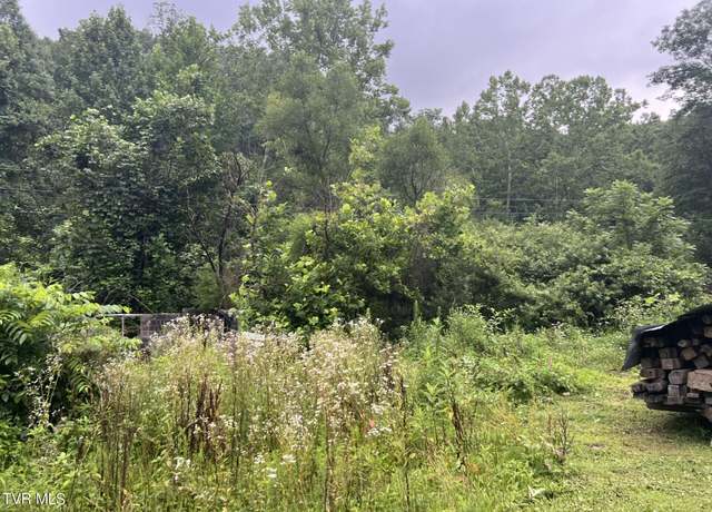 Property at Tbd Abner Branch Rd, Bee, VA 24217
