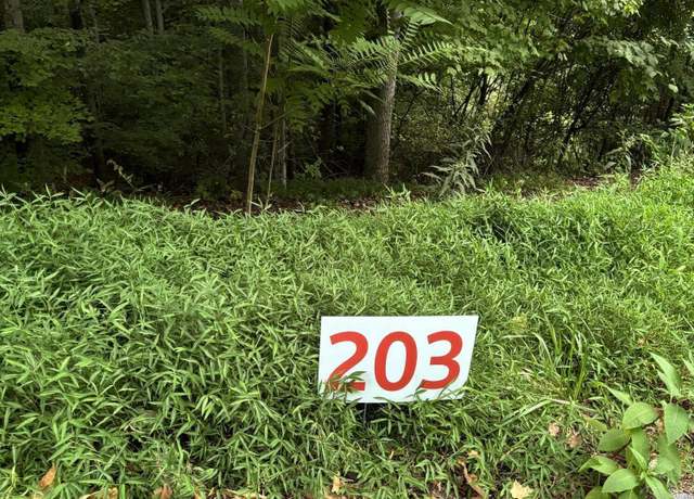 Property at 203 Ox Bow Ave, Unicoi, TN 37692