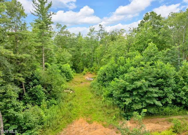 Property at 162 Murph Potter Ln, Roan Mountain, TN 37687