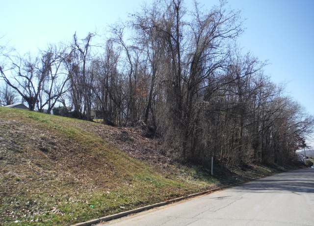 Property at 0 Locust St, Greeneville, TN 37745