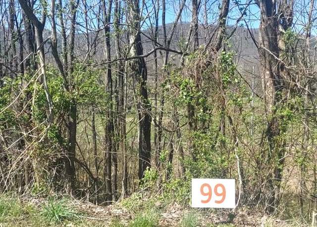 Property at Lot 99 Country Club Dr, Unicoi, TN 37692