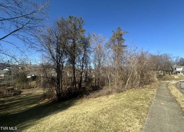 Property at 123 Vicksburg Rd, Johnson City, TN 37604