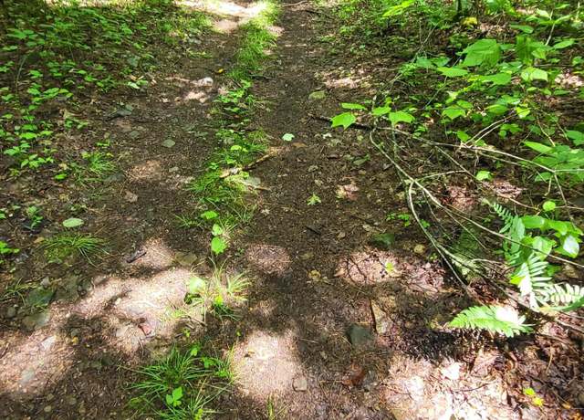 Property at Tbd Dry Branch Rd, Elizabethton, TN 37643