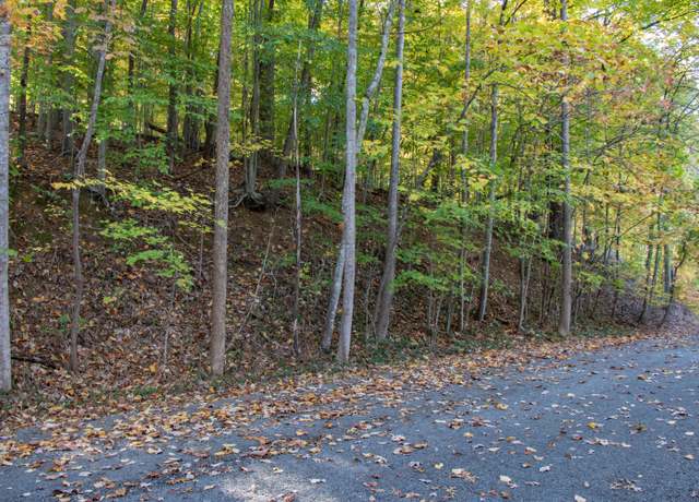 Property at Lot 13 Skyline Dr, Bristol, TN 37620