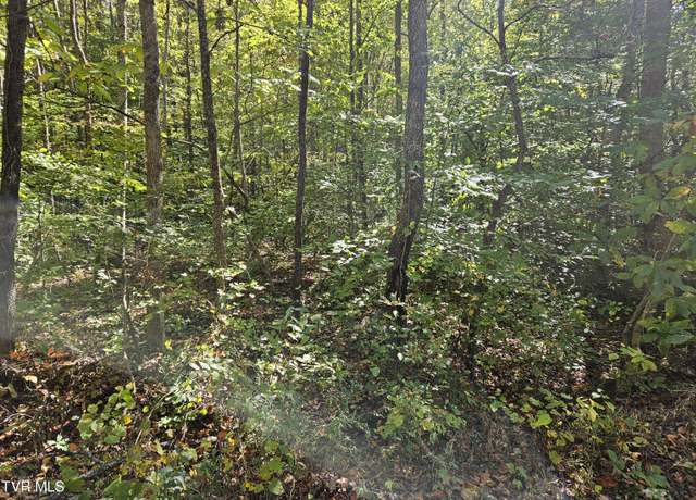 Property at 000 Cave Springs Rd, Rogersville, TN 37857