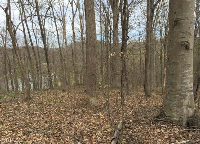 Property at 00 Horseshoe Bend Rd, Rogersville, TN 37857