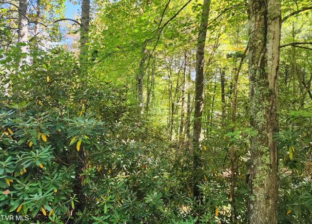 Property at Lot 4 Myrtle Dr, Mountain City, TN 37683