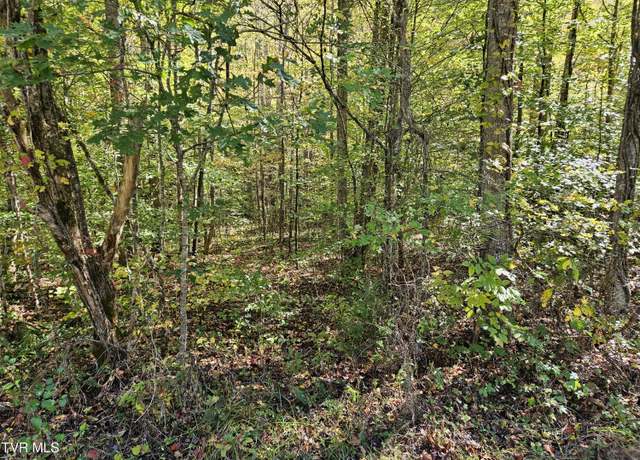 Property at 0000 Cave Springs Rd, Rogersville, TN 37857