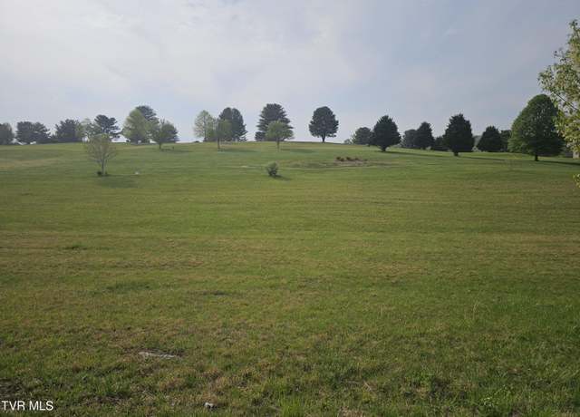 Property at Tbd Mckinney Chapel Rd, Rogersville, TN 37857