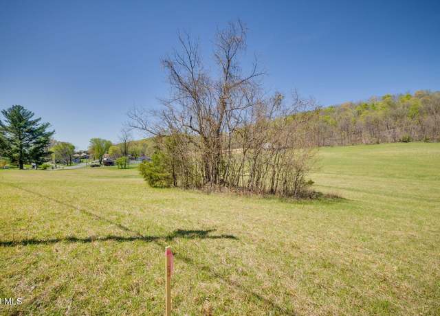 Property at 551 Sugar Hollow Rd, Piney Flats, TN 37686