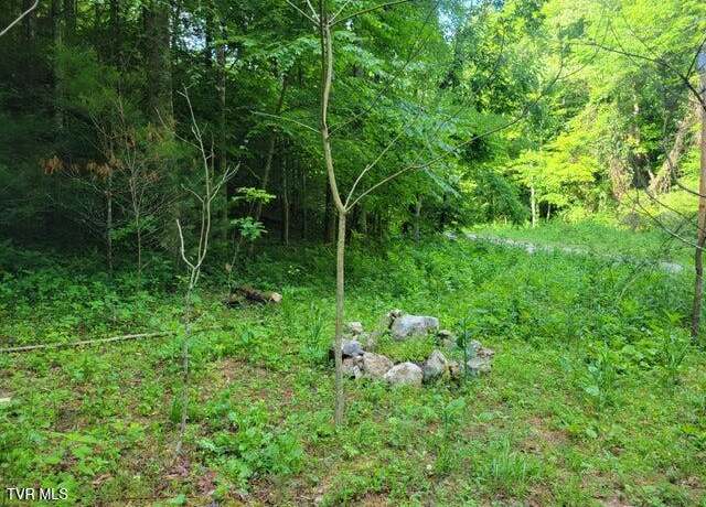 Property at 985 Copperhead Hollow Rd, Mountain City, TN 37683