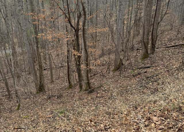 Property at 0 Golf Course Rd, Unicoi, TN 37692
