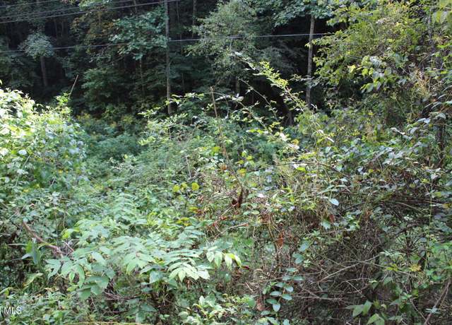 Property at Tbd Campbell Hollow Rd, Honaker, VA 24260