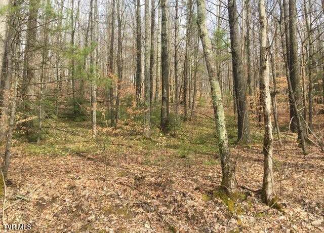 Property at 00 Heaton Branch Rd, Roan Mountain, TN 37687