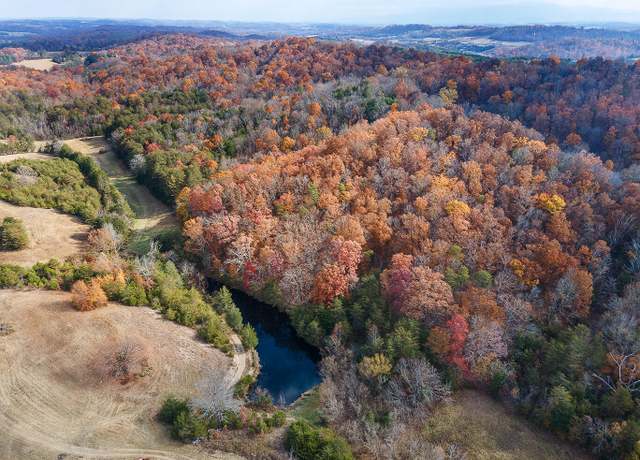Property at Tbd Sinking Creek Rd, Parrottsville, TN 37843