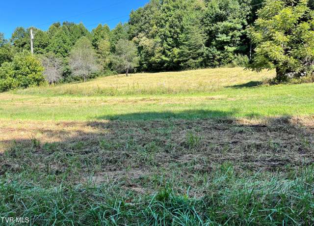 Property at 133 Richardson Hollow/ Estep Lp Rd, Elizabethton, TN 37643