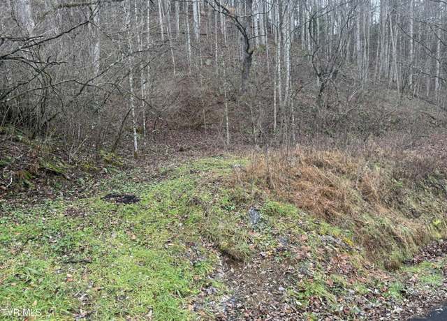 Property at Tbd Tiger Creek Rd, Roan Mountain, TN 37687