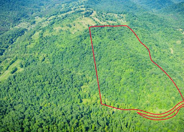 Property at Tbd Eb Hollow Rd, Eidson, TN 37731