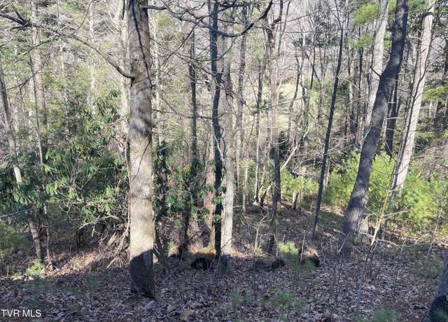 Property at 0 York Cabin/heidi Hill Ln Rd #7, Butler, TN 37640
