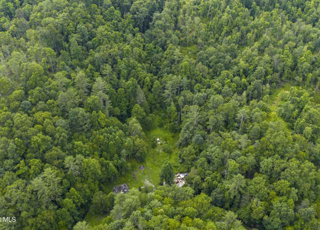 Property at 834 Simerly Creek Rd, Hampton, TN 37658