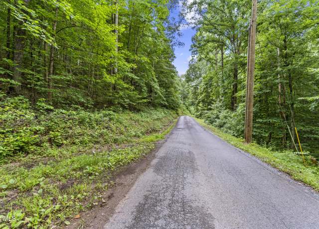 Property at Tbd Speedwell Ln, Bulls Gap, TN 37711
