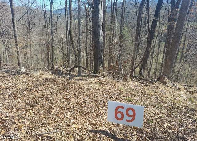 Property at 69 Golf Course Rd, Unicoi, TN 37692