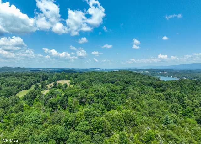 Property at 133 Acres Devault Bridge Rd, Piney Flats, TN 37686