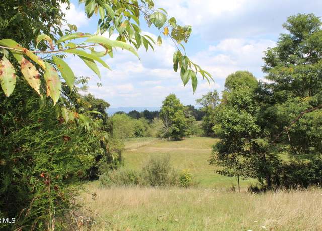 Property at 1219 Chestnut Ridge Rd, Chilhowie, VA 24319