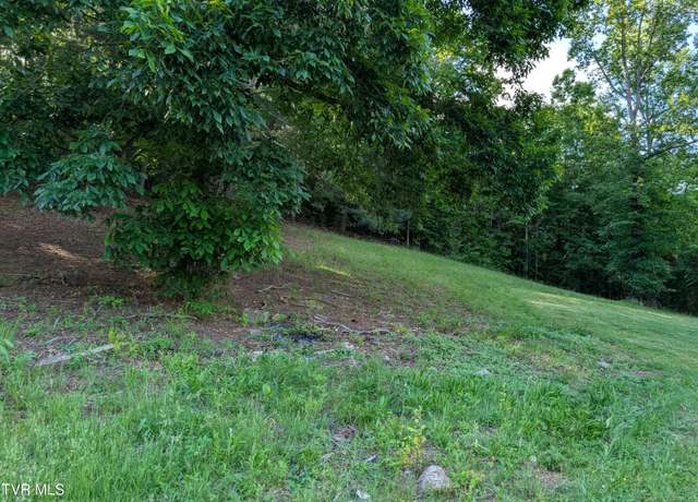 Property at Tbd Hilton Rd, Gate City, VA 24251