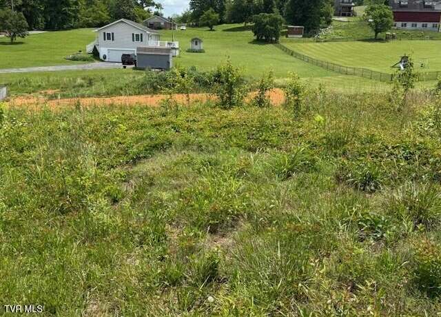 Property at 3593 Highway 390, Bluff City, TN 37618