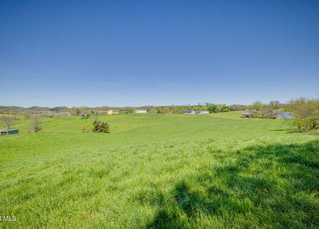 Property at 3490 Milburnton Rd, Limestone, TN 37681