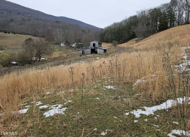 Property at Tbd A P Carter Hwy, Hiltons, VA 24258
