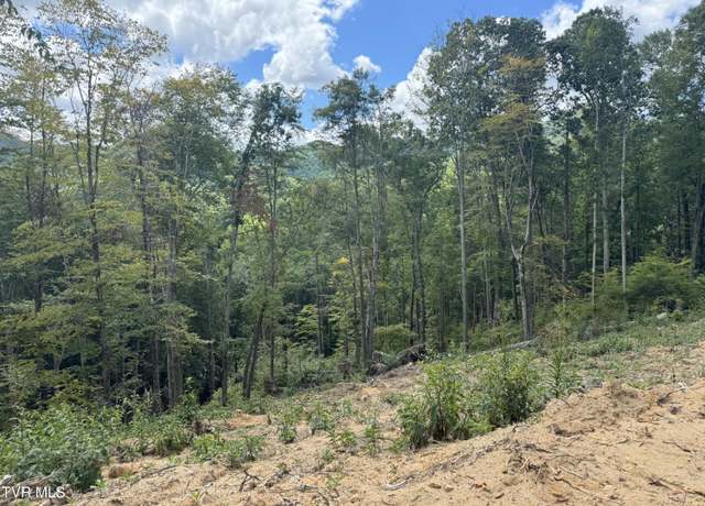 Property at 221 Shell Creek Rd, Roan Mountain, TN 37687