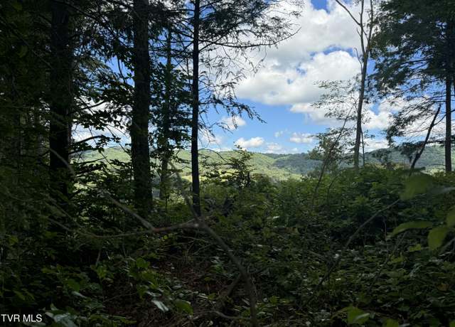 Property at 221 Shell Creek Rd, Roan Mountain, TN 37687