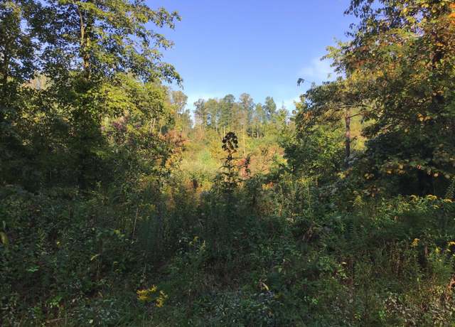 Property at Tbd Us Hwy 23, Wise, VA 24293