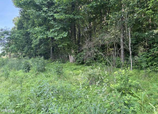 Property at Tbd Reedy Creek Rd, Abingdon, VA 24210