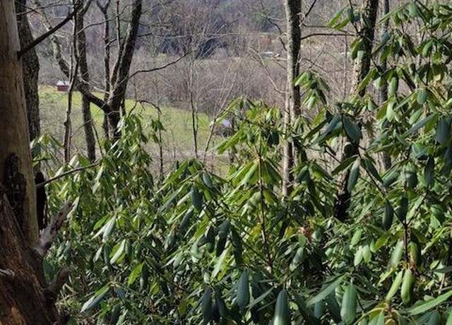 Property at Tbd Old Hwy Rd, Erwin, TN 37650