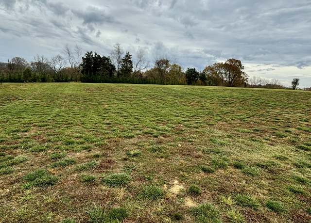 Property at Lot 4 Turkey Ridge Ln, Piney Flats, TN 37686