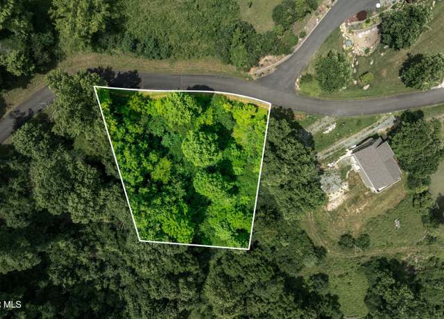 Property at Lot 10 Lake Ridge Rd, Butler, TN 37640