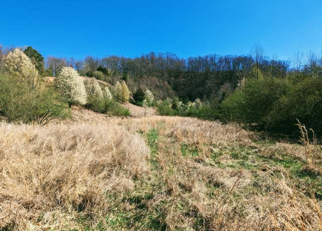 Property at Tbd Honey Cp, Clintwood, VA 24228