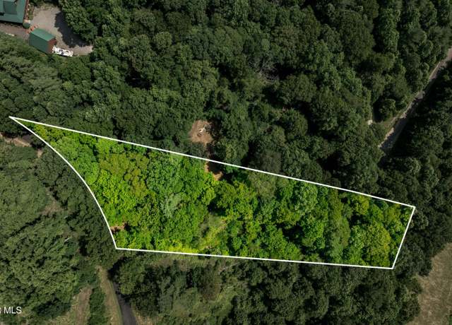 Property at Lot 33 Lake Ridge Rd, Butler, TN 37640