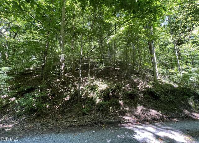 Property at Tbd Canaan Rd, Butler, TN 37640